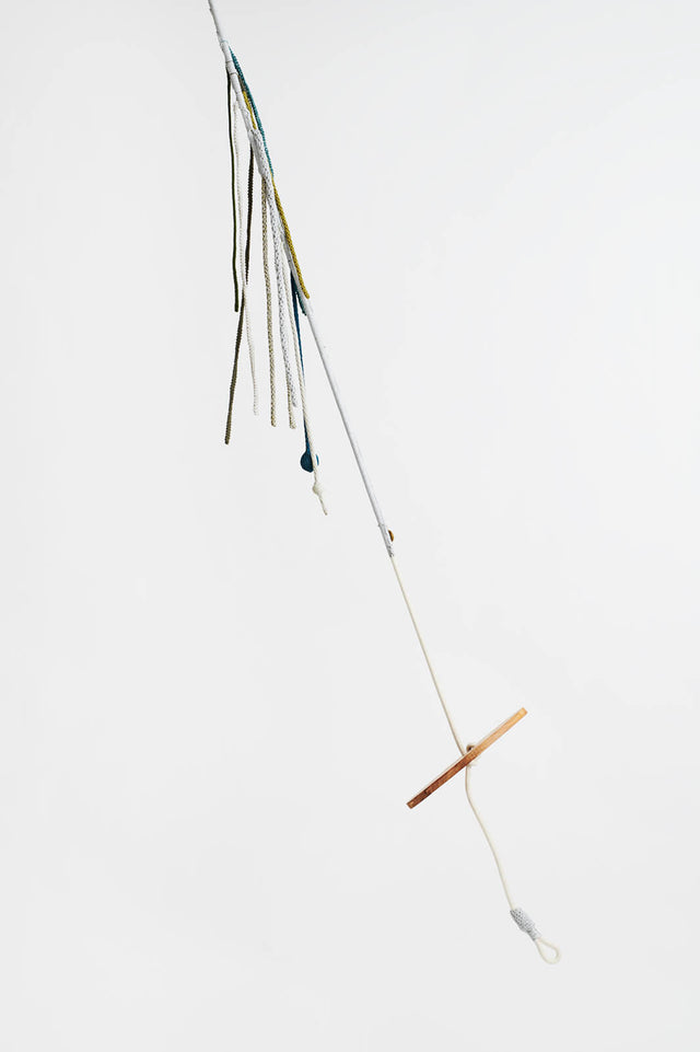 Tarzan Swing - Sugarcane