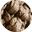 Saddle Earth