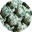 Saddle Tzatziki